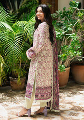 Lawn - Asim Jofa - Essential 25 - Vol-04 - AJUUB-27