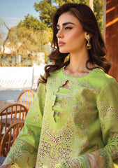 Lawn - Rang Rasiya - Premium - Summer 25 - RR#03 - Elaheh