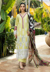 Lawn - Zainab Chottani - Chikankari 25 - Rayne - 12A