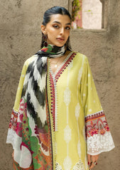 Lawn - Zainab Chottani - Chikankari 25 - Rayne - 12A