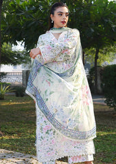 Lawn - Zyna - Luxury 25 - Anira