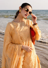 Lawn - Riaz Arts - Tehzeeb Chikankari - RT25# 430