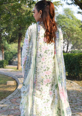 Lawn - Zyna - Luxury 25 - Anira