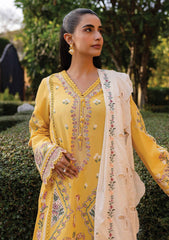 Lawn - Qalamkar - Qline - Summer 25 - QM#10 - OLENA