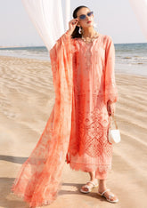 Lawn - Riaz Arts - Tehzeeb Chikankari - RT25# 426