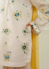 Lawn - Coco By Zara Shahjahan - Unstitched 25 -NORA-10B
