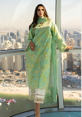 Lawn - Rang Rasiya - Carnation - Summer Edit 25 - RRC#06 - Bella