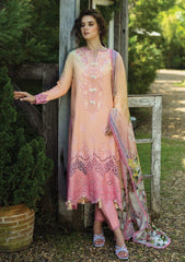 Lawn - Mushq - Solace Ombre Chikankari - MC25#04 - Risate