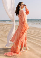 Lawn - Riaz Arts - Tehzeeb Chikankari - RT25# 426