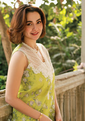Lawn - Asifa & Nabeel - Gulkari 25 - GKL-03 - Lemonade Dream
