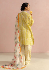 Lawn - Coco By Zara Shahjahan - Prints 25 - D9A - RUBY