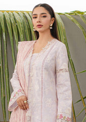 Lawn Collection - Qalamkar - Qline - JK24#11 - Nieve