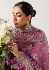 Formal Collection - Jamnii - Unkahi Baaten - RUYA