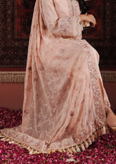 Formal Collection - Zarqash - Lakhnawi - Festive Chiffon - ZQ24#3B - IZEL