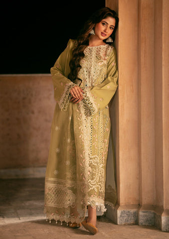 Lawn Collection - Bin Ilyas - Dilbaro - Festive Edit - D#405-A