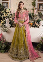 Formal Collection - Saad Shaikh - Panache - Taskheer