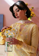 Lawn Collection - Seran - Jahaan - SJ24#04 - Aliyan