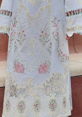 Lawn Collection - Qalamkar - Festive Lawn 24 - PS#10 - ZAIB