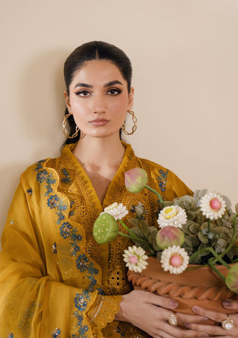 Lawn Collection - Bin Ilyas - Naqsh - D#3B - AZLIN