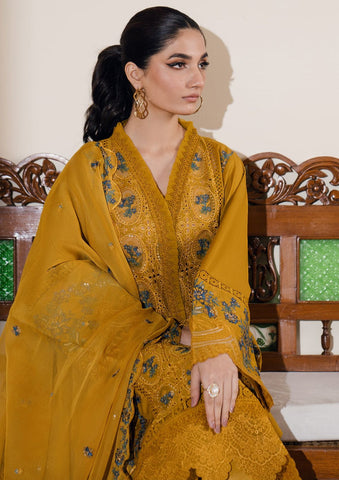 Lawn Collection - Bin Ilyas - Naqsh - D#3B - AZLIN