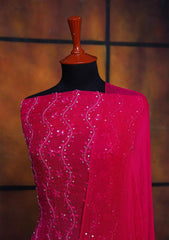 Winter Collection - Riwaj - Bamber Chikankari W/ Sequence Work - SH Pink