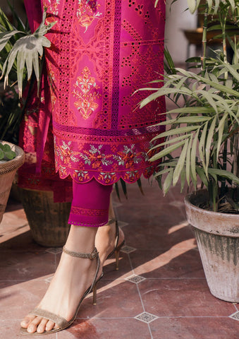 Lawn Collection - Bin Ilyas - Naqsh - D#4A - KIRAZ