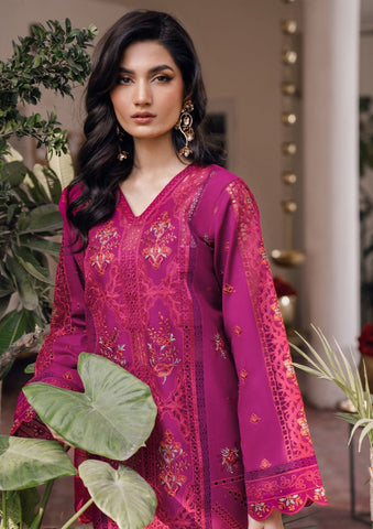 Lawn Collection - Bin Ilyas - Naqsh - D#4A - KIRAZ