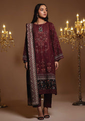 Winter Collection - Dressline - Nashwa - DN24#851 - Maroon