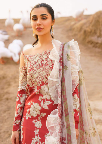 Lawn Collection - Asifa & Nabeel - Meraki - M#06 - SIA