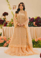 Formal Collection - Raum By Sarb - Mah-e-Noor - Wedding - RM24#02